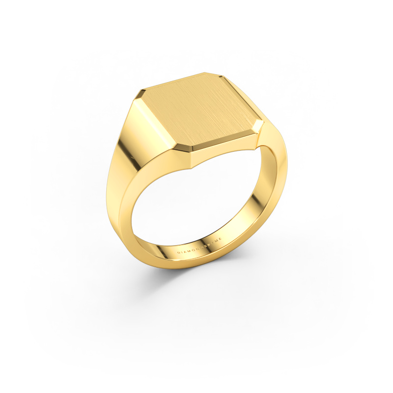 Bild von Siegelring Abel 2 585 Gold