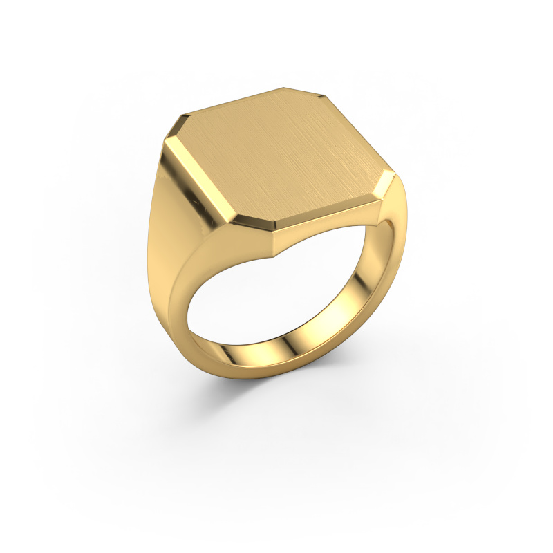 Image of Signet ring Abel 5 585 gold