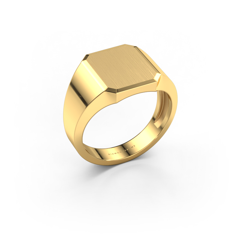 Image of Signet ring Abel 2 light 585 gold
