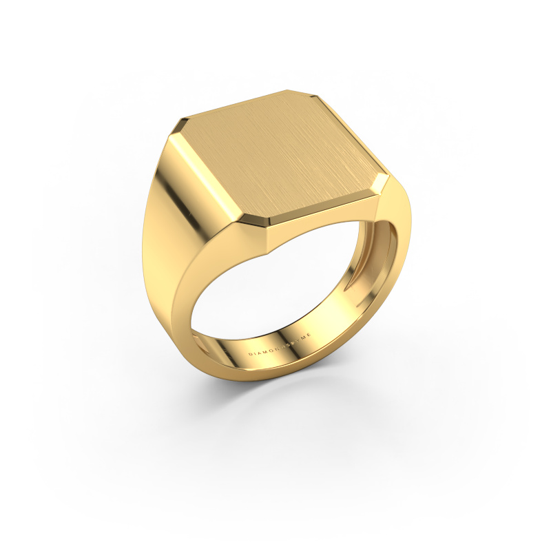 Image of Signet ring Abel 4 light 585 gold