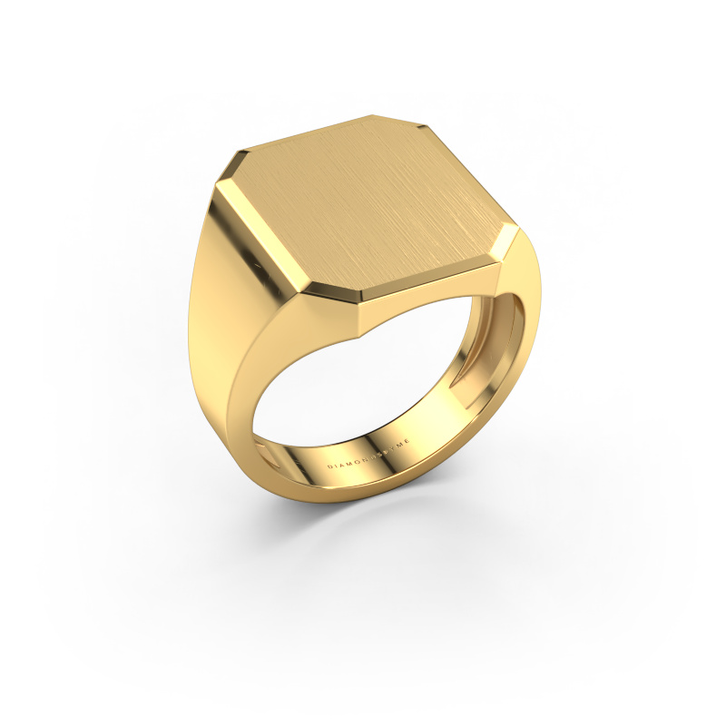 Image of Signet ring Abel 5 light 585 gold