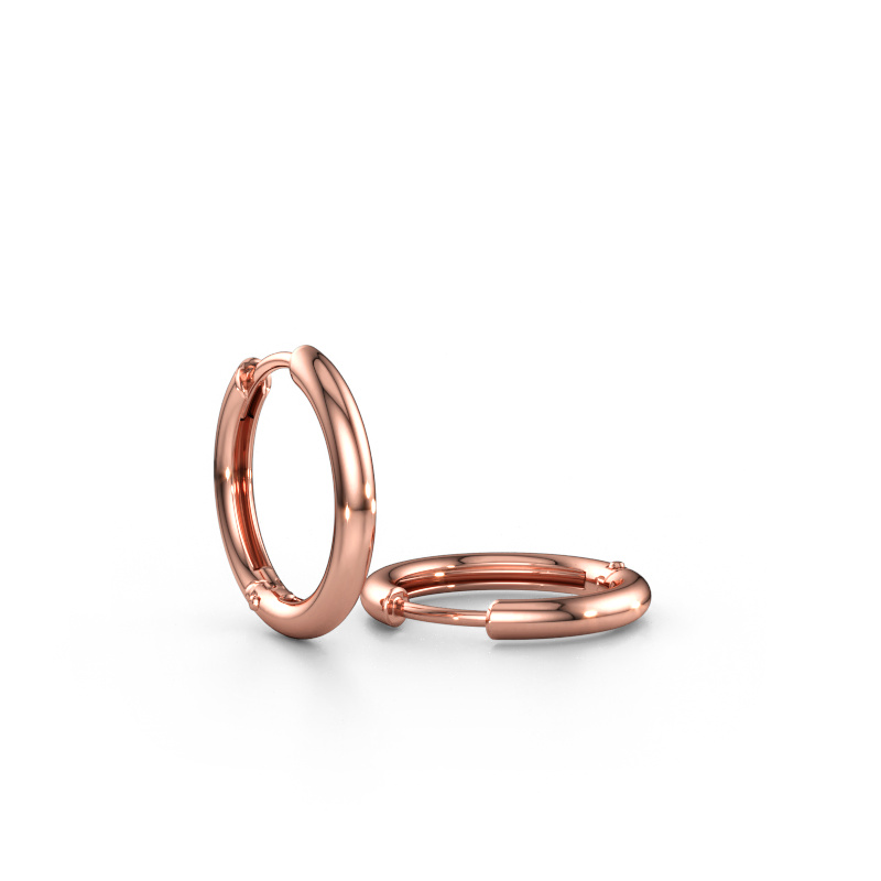 Bild av Creolörhängen Aya 16 585 roséguld