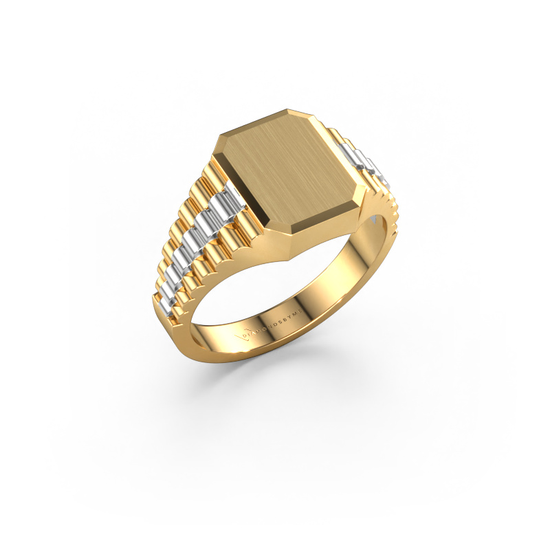 Image of Signet ring Erik 1 585 gold