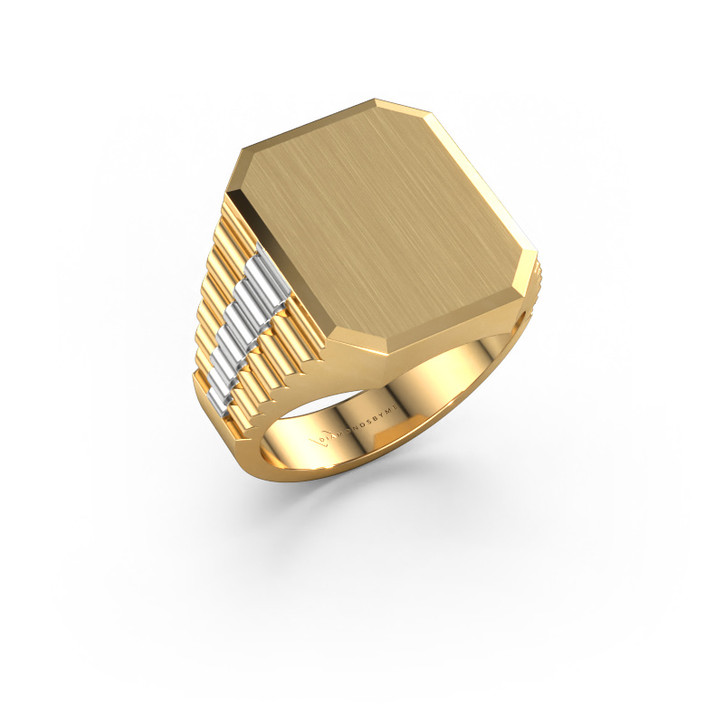 Image of Signet ring Erik 4 585 gold