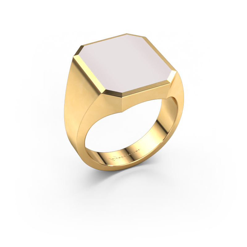 Bild von Siegelring Lars 5 585 Gold Rot Lagenstein 16x13 mm