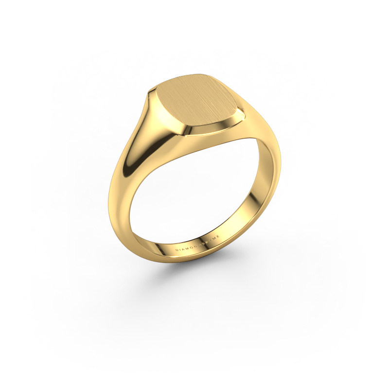Bild von Pinky Ring Pepijn 1 585 Gold