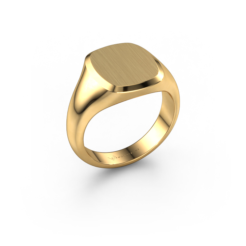 Image of Signet ring Pepijn 2 585 gold