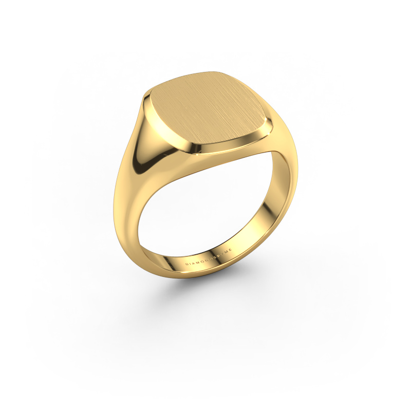 Bild von Siegelring Pepijn 2 585 Gold