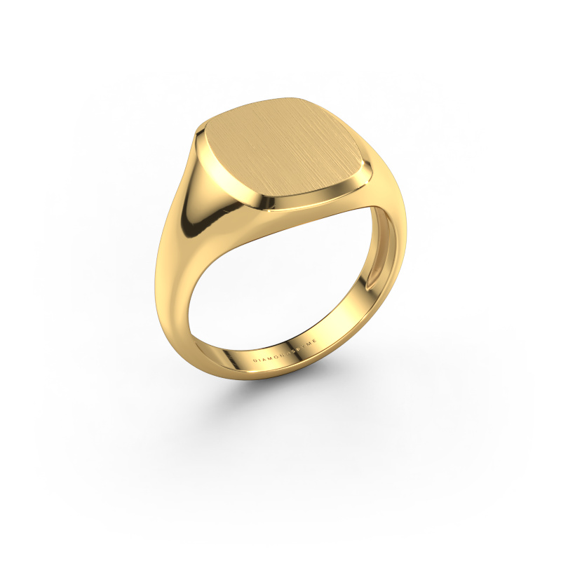 Bild von Siegelring Pepijn 2 Light 585 Gold