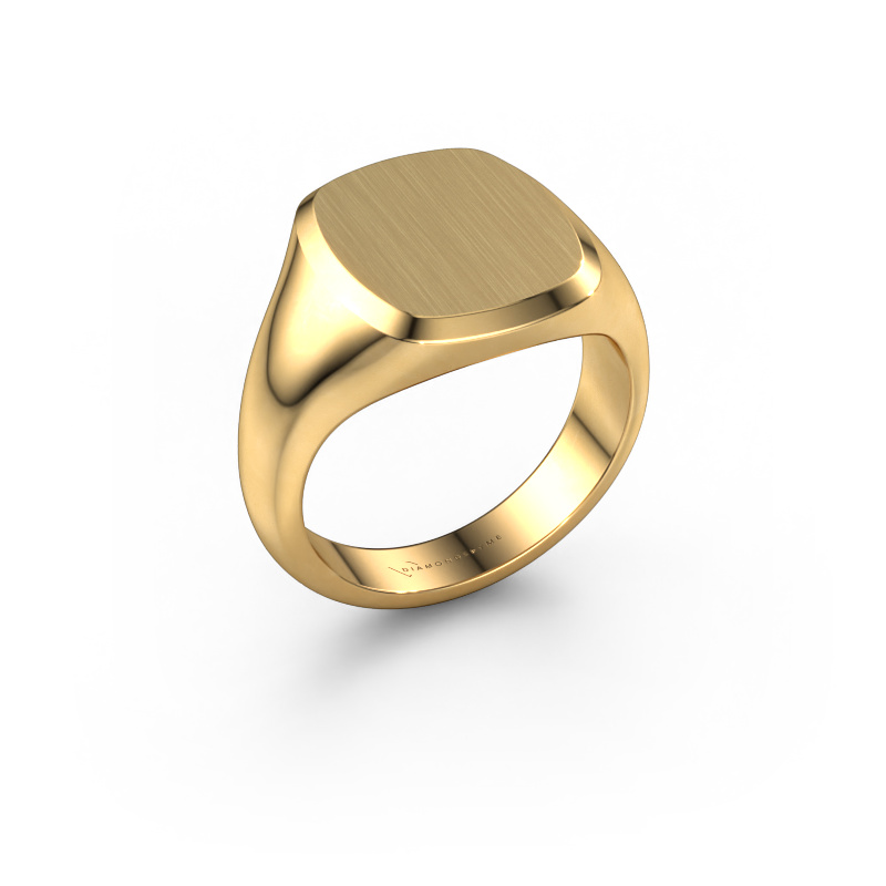 Afbeelding van Heren ring Pepijn 3 585 goud