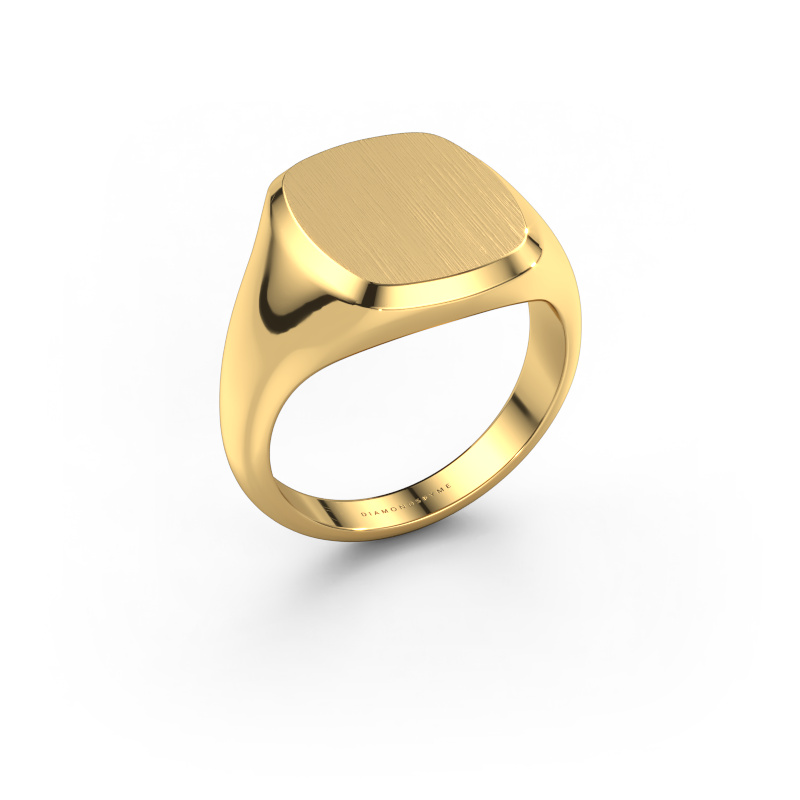 Bild von Herrenring Pepijn 3 585 Gold
