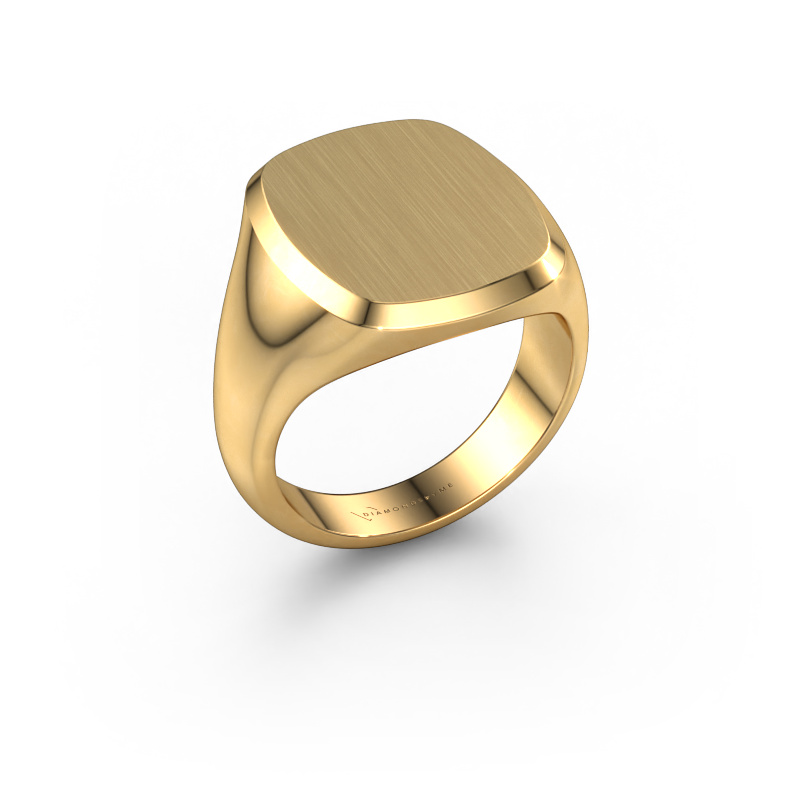 Image of Men's ring Pepijn 4 585 gold