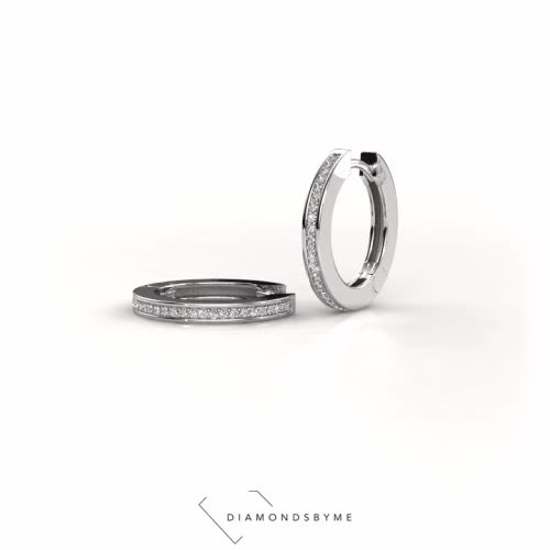 Image of Hoop earrings Renee 4 12 mm 950 platinum Zirconia 1 mm