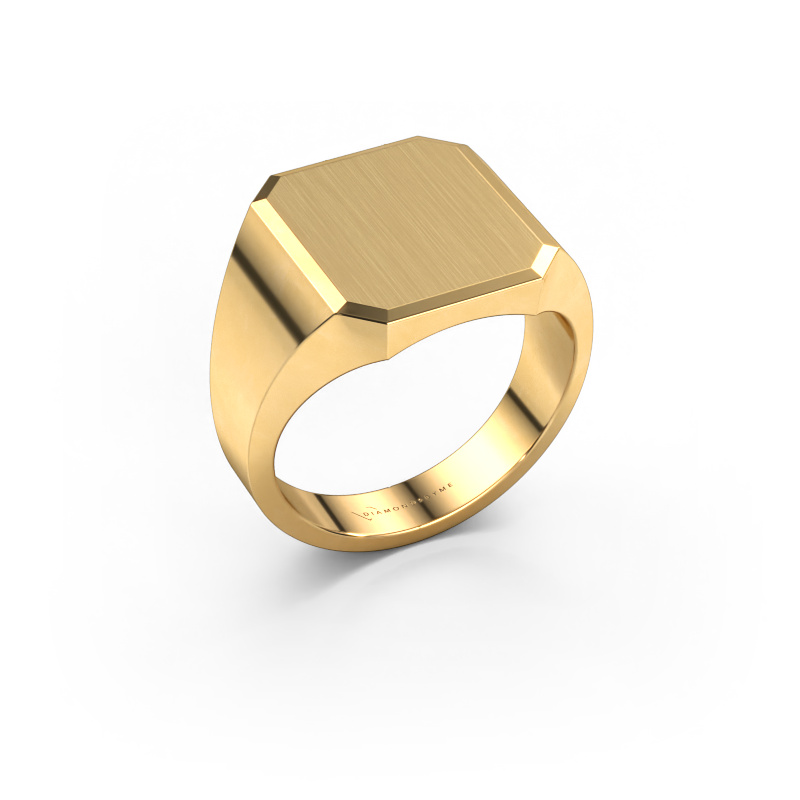 Image of Signet ring Abel 3 585 gold