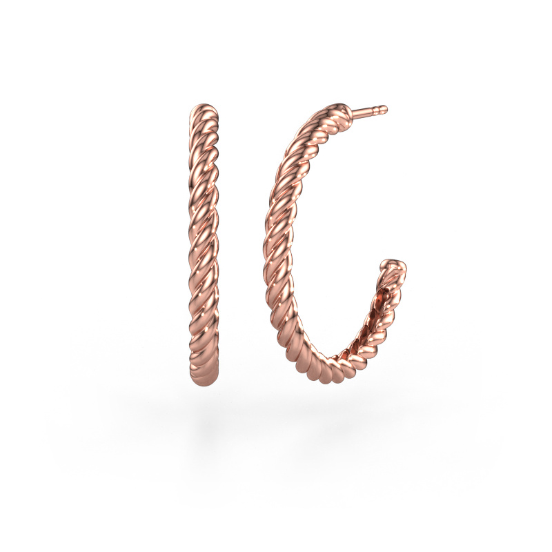 Bild von Ohrsteckers Terra 25mm 585 Roségold