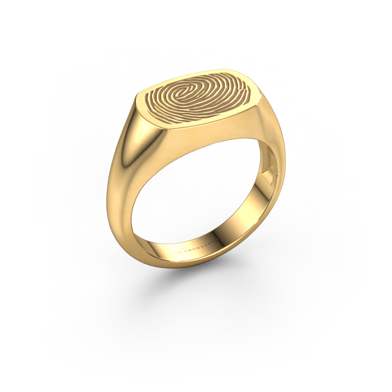 Image of Men's ring Thijs 585 gold