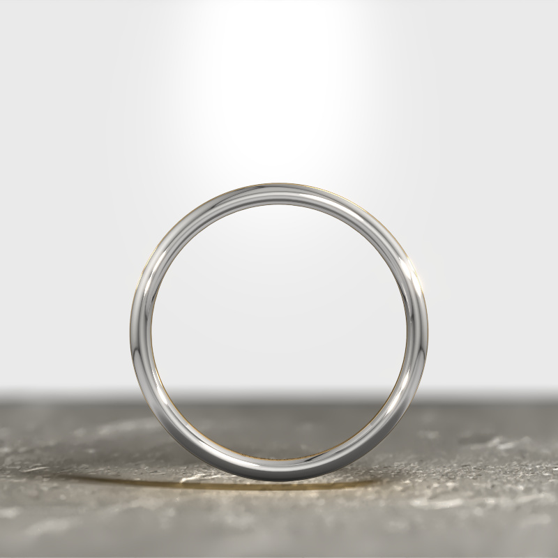 Witgoud met witgoud middenklasse witgouden heren trouwring WHM0080M
